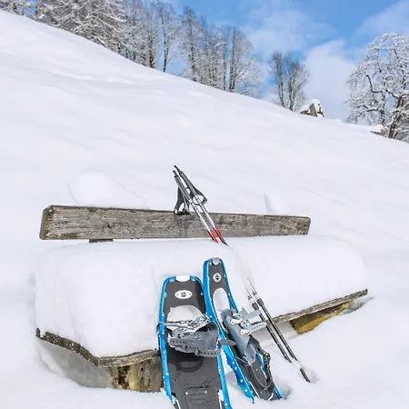 Private Apartmán Traunkirchen